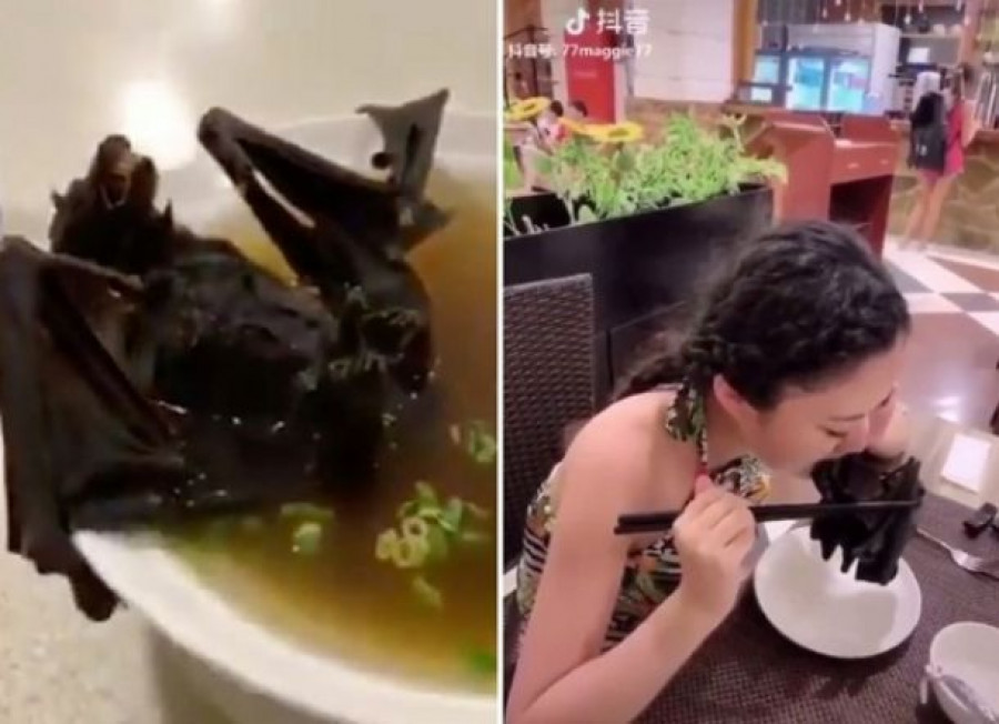 Video Wanita Makan Sup Kelelawar Penyebab Virus Corona Beredar
