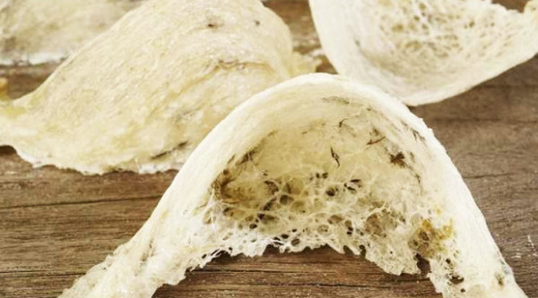 Bapenda Siapkan Regulasi Terkait Minimnya Pendapatan Dari Sarang